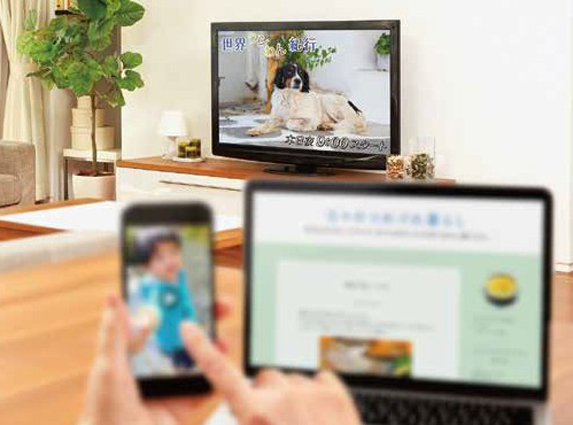 単焦点レンズの見え方イメージ